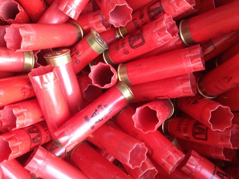 Empty Shotgun Shell Hulls